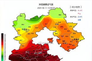 普利西奇：年度最佳进球是对弗洛西诺内，最佳比赛是对纽卡斯尔